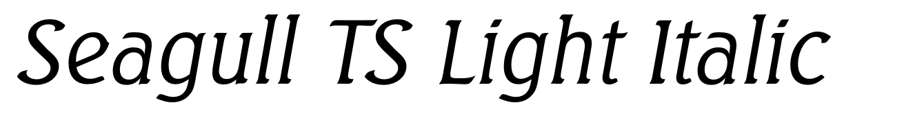 Seagull TS Light Italic
